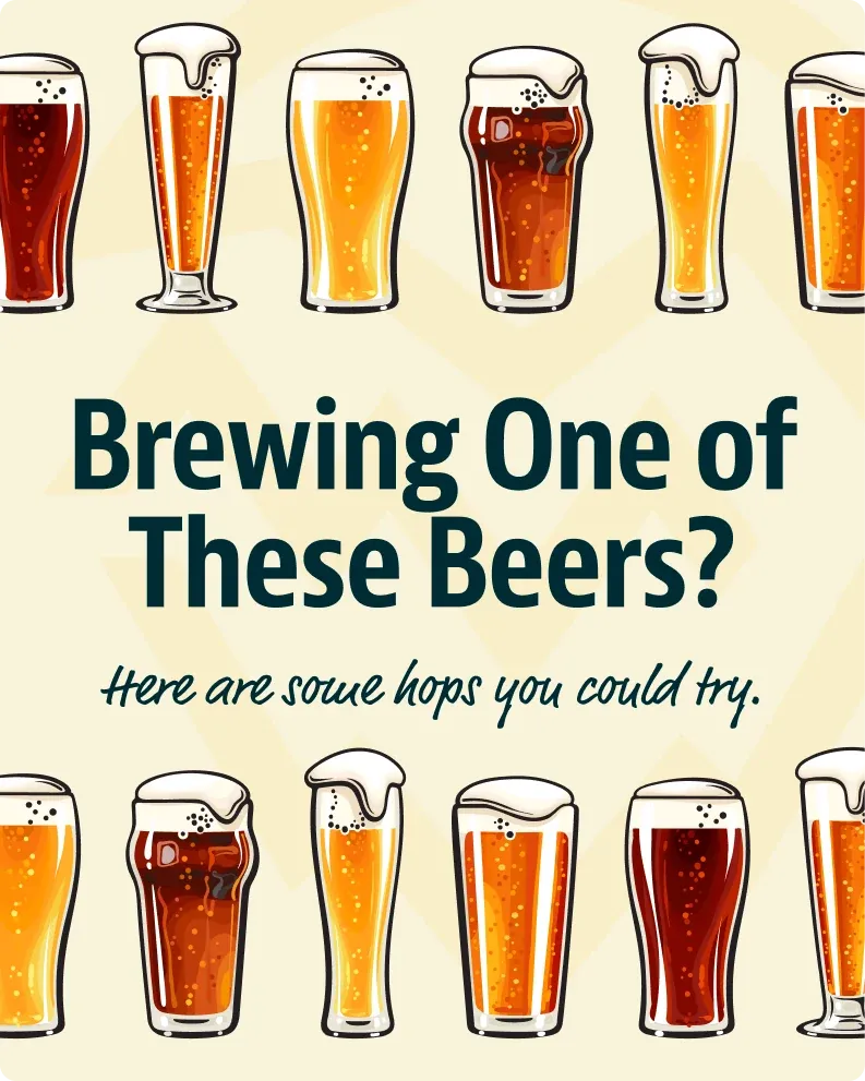 A Yakima Valley Hops post ringed by glasses of beer: "Brewing one of these beers? Here are some hops you could try."